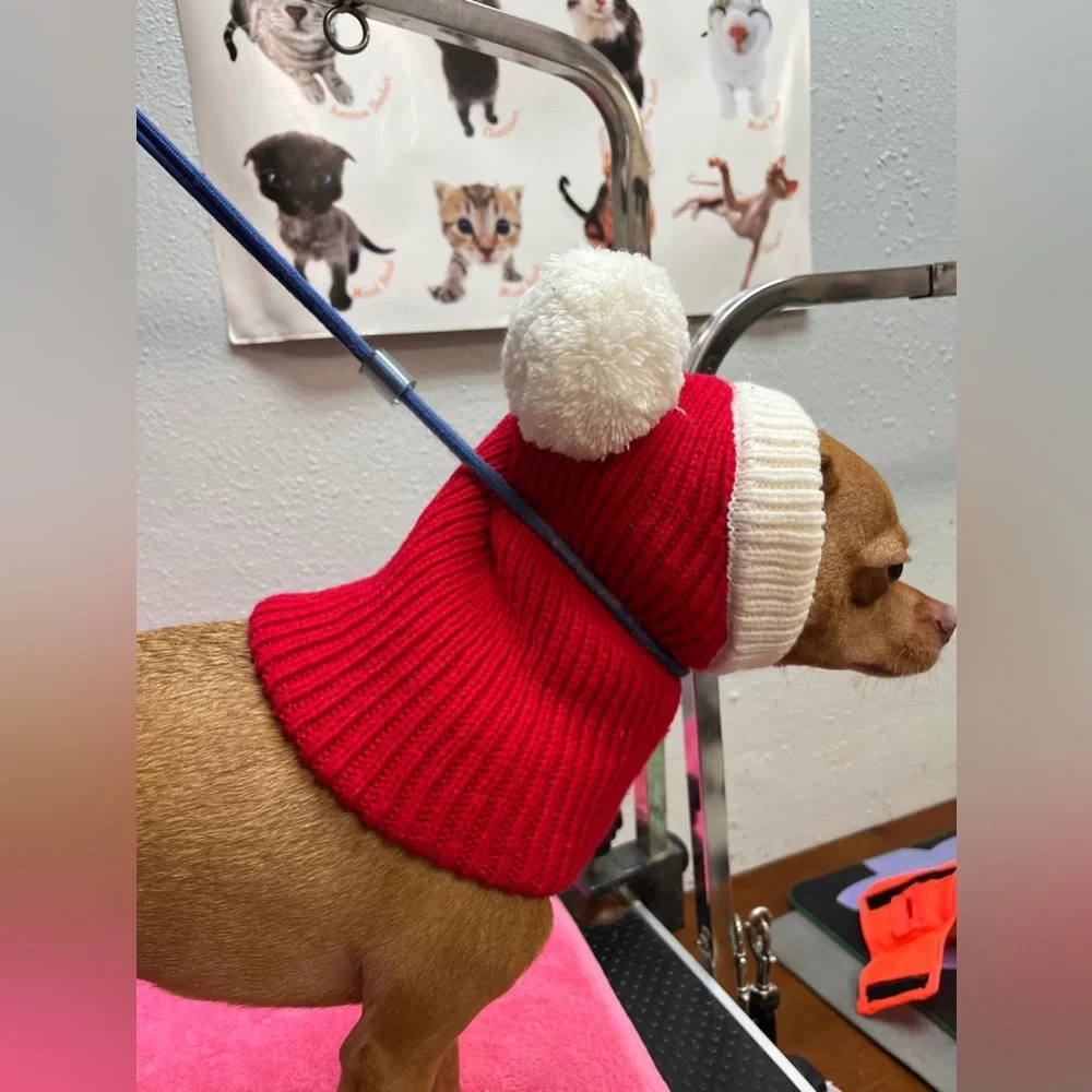 Red and White Dog Christmas Hat